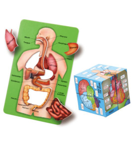 Človek v kocke (puzzle set)