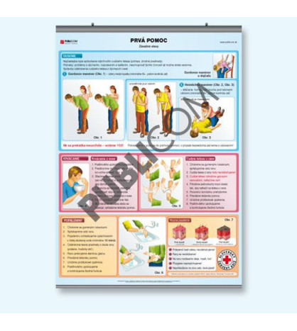 Prvá pomoc/Závažné stavy A4