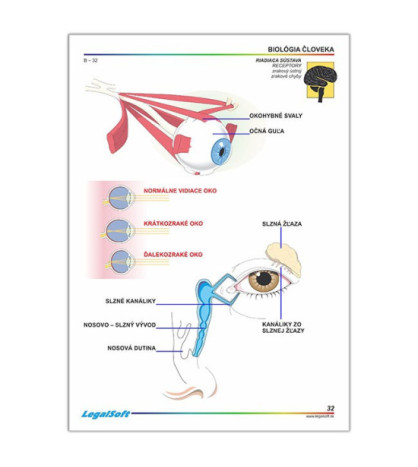 BIOLÓGIA ČLOVEKA 2 - pre 7. ročník ZŠ - kartón