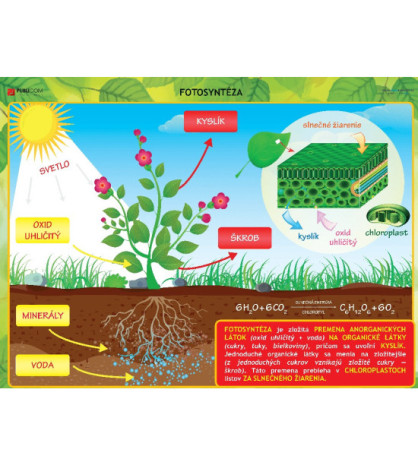 Chémia - Fotosyntéza, tabuľa PVC 140 x110 cm