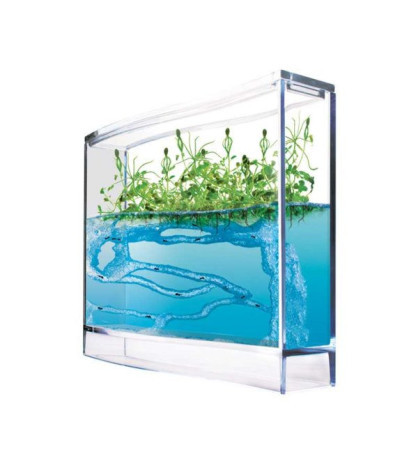 Ekosystém, SUPER Lesné mravenisko