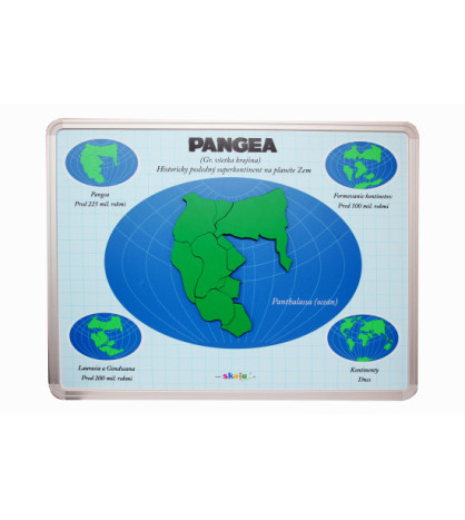 Model Pangea