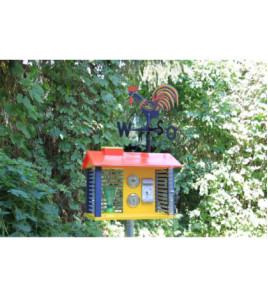 Meteostanica s prístrojmi a veterným kohútom