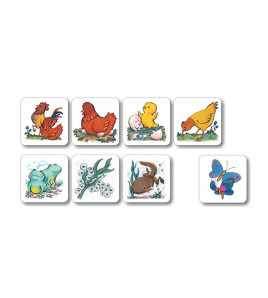 Vývoj - motýľ, sliepka, žaba, tulipán