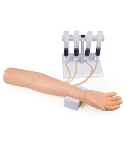 Cvičný model - simulátor na nácvik intravenóznych injekcií a infúzií