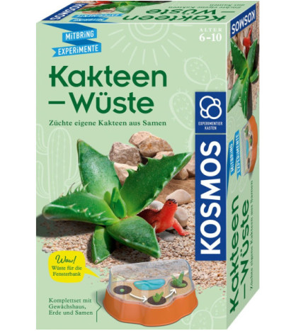 Kaktus na púšti - miniskleník pre deti
