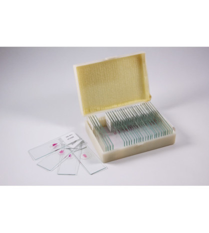 Histologické preparáty, 30 ks