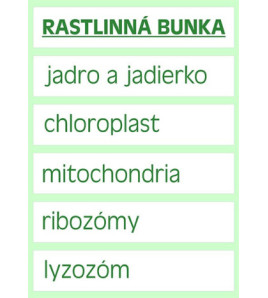 Veľká magnetická rastlinná bunka - AJ/NJ