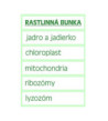 Veľká magnetická rastlinná bunka - AJ/NJ