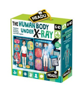 HEADU: Ľudské telo pod röntgenom (puzzle hra)