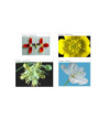 Výukový SW Sunflower learning - Biológia - licencia na 10pc