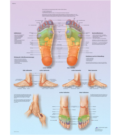 Obraz - Reflené zóny nohy, popis AJ