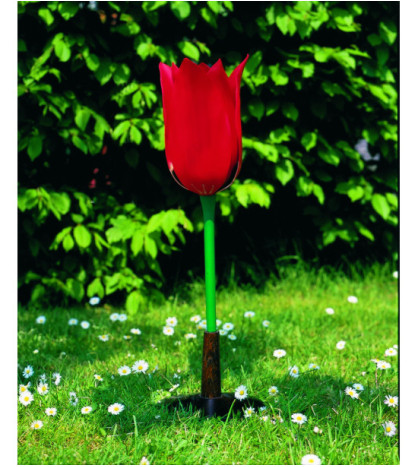 Model - Kvet tulipánu