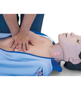 CPR Torzo Lilly PRO+
