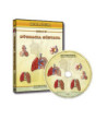 Výučbové CD – Dýchacia sústava - SV + IA10 licencia