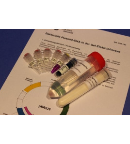 Sada Plazmidová DNA - príslušenstvo pre študentskú súpravu TESS Genetika