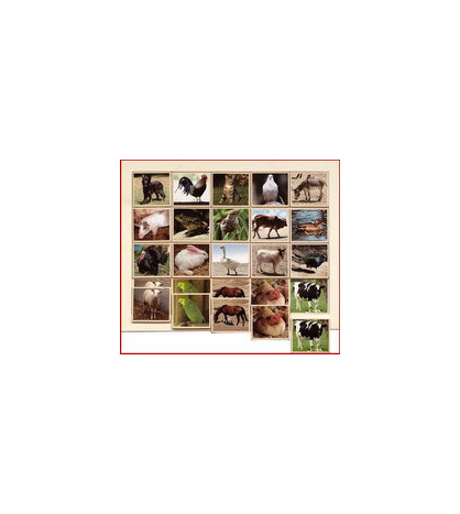 Zvieratá na farme - LOTO komunikačné obrázky