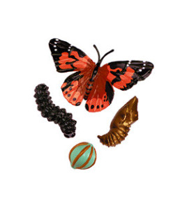 Životný cyklus motýľa - model