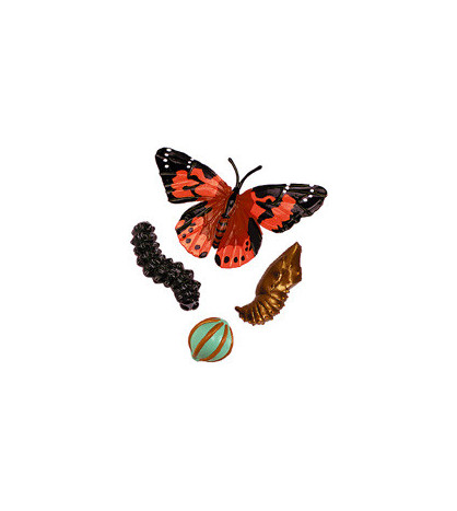 Životný cyklus motýľa - model